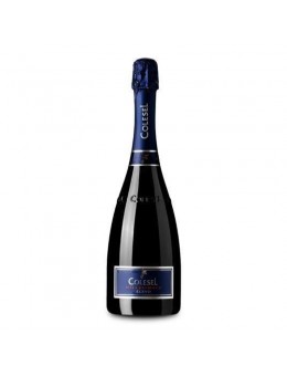 Prosecco Valdobbiadene...