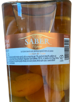 Saber Elyzia Premium...