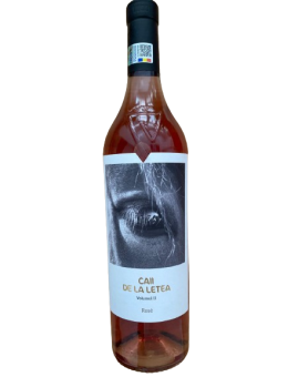 Caii de la Letea Volumul II...